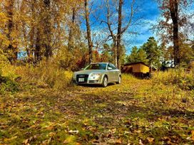 Audi A4, 2005 г., Барнаул