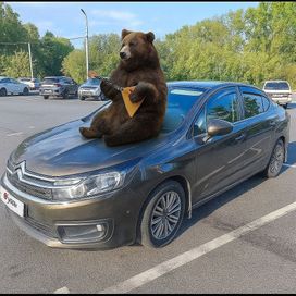 Citroen C4, 2016 г., Иркутск